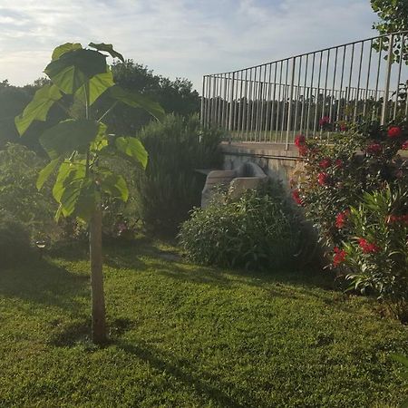 فيلا Casa La Pineta Pievescola المظهر الخارجي الصورة