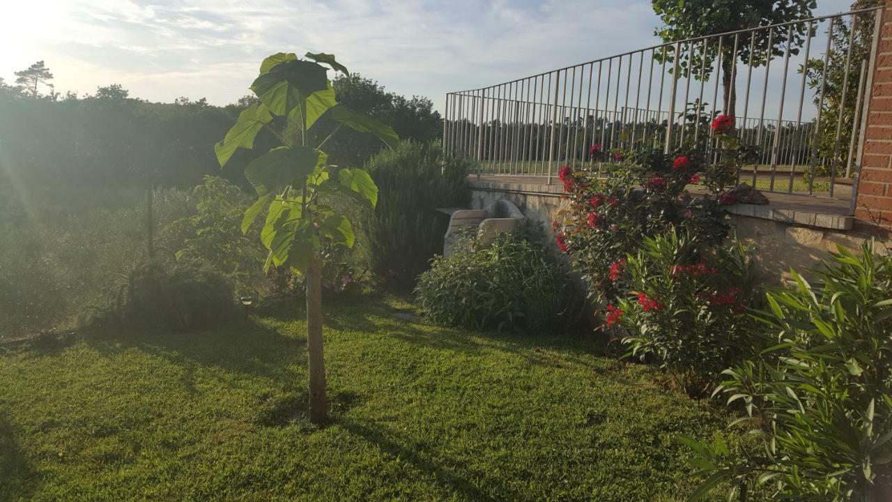 فيلا Casa La Pineta Pievescola المظهر الخارجي الصورة